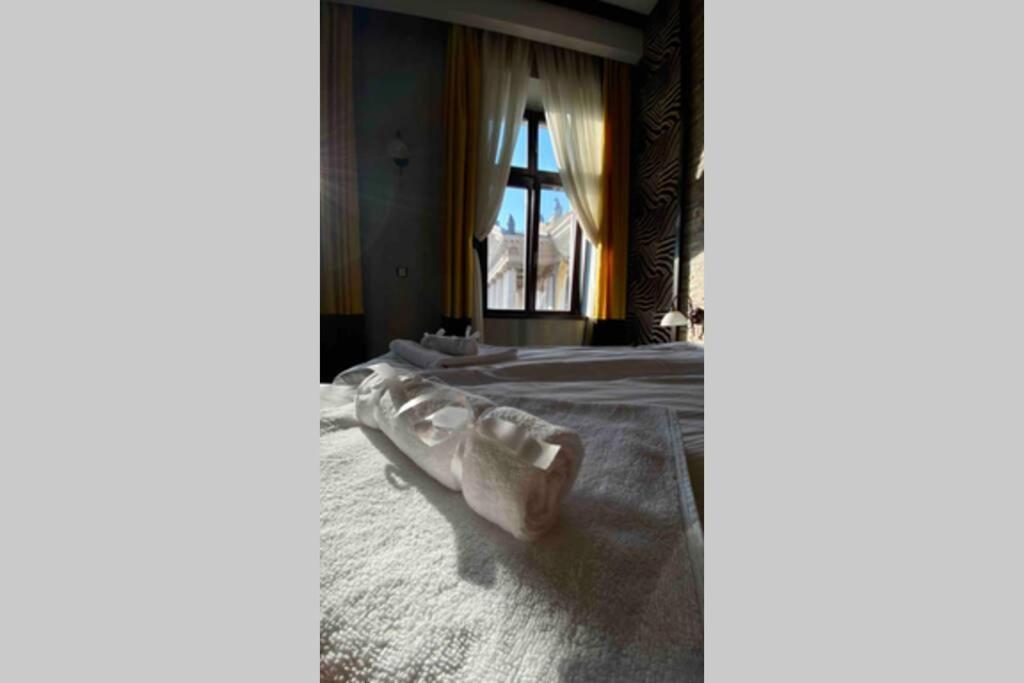 Safari Royal Apartment Oradea Bagian luar foto